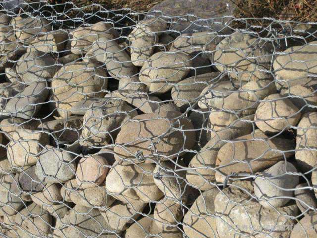 石籠網(wǎng)--05
